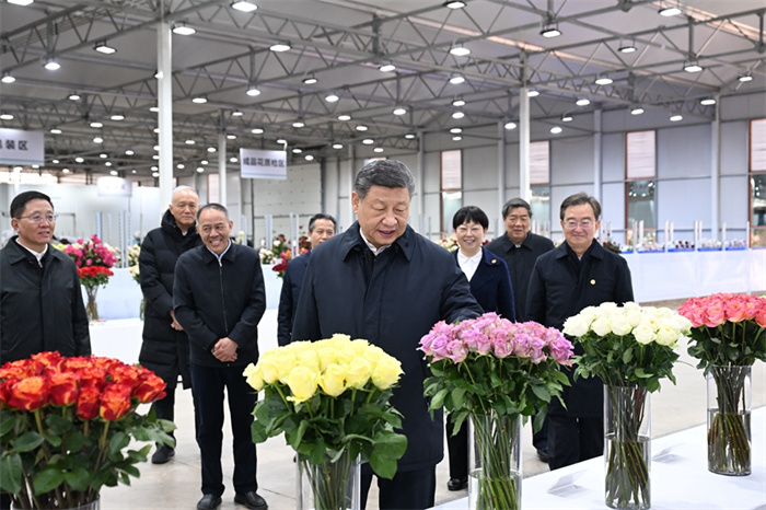 皇家国际·(中国区)有限公司官网